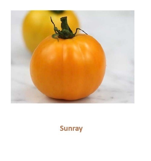 Heirloom Tomato Seeds Assortment – 8 Garden Favorites 200 total seeds