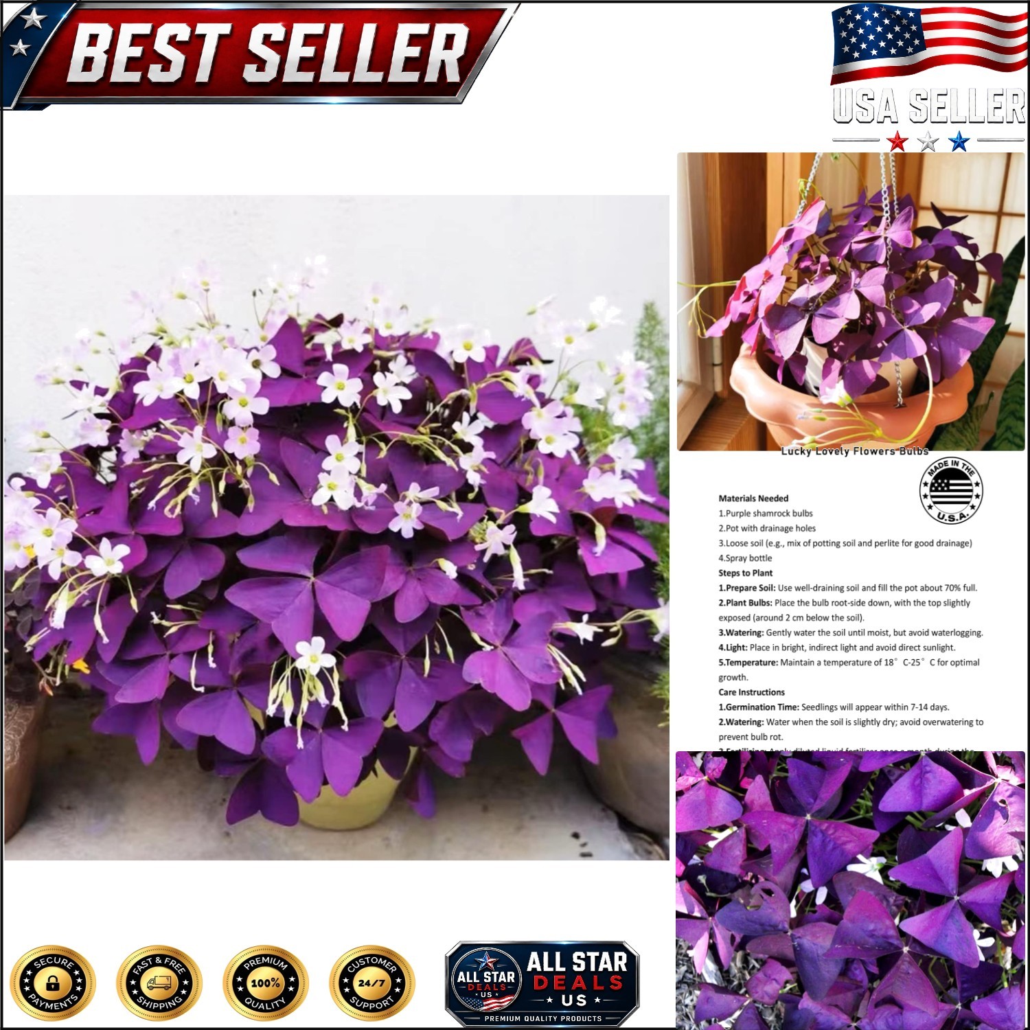 12+ GMO-Free Oxalis Triangularis Shamrock Bulbs for Indoor/Outdoor Luck