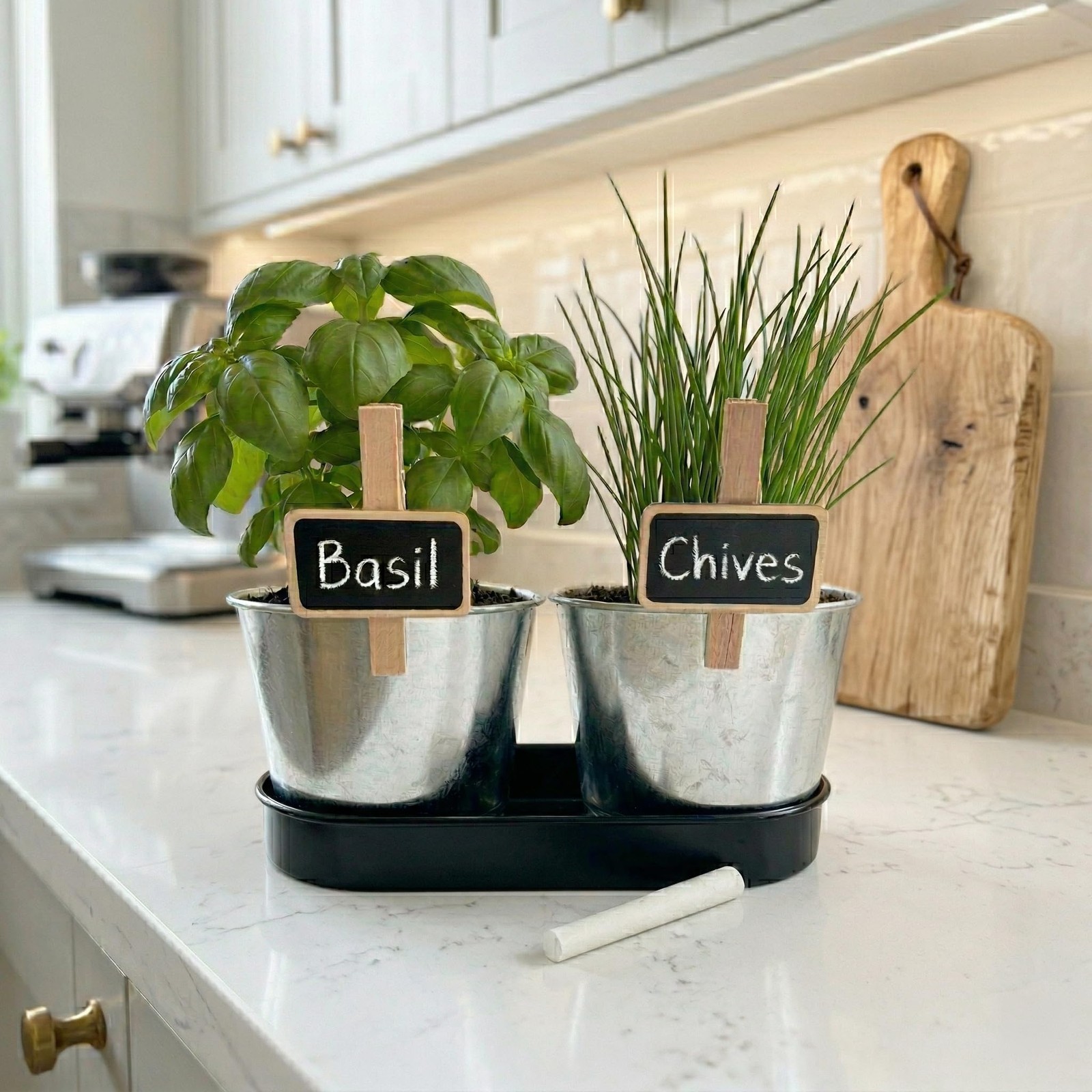 BUZZY Seeds Kitchen Herb Garden Kit with 2-Pot Metal Planters with Plant Mark…