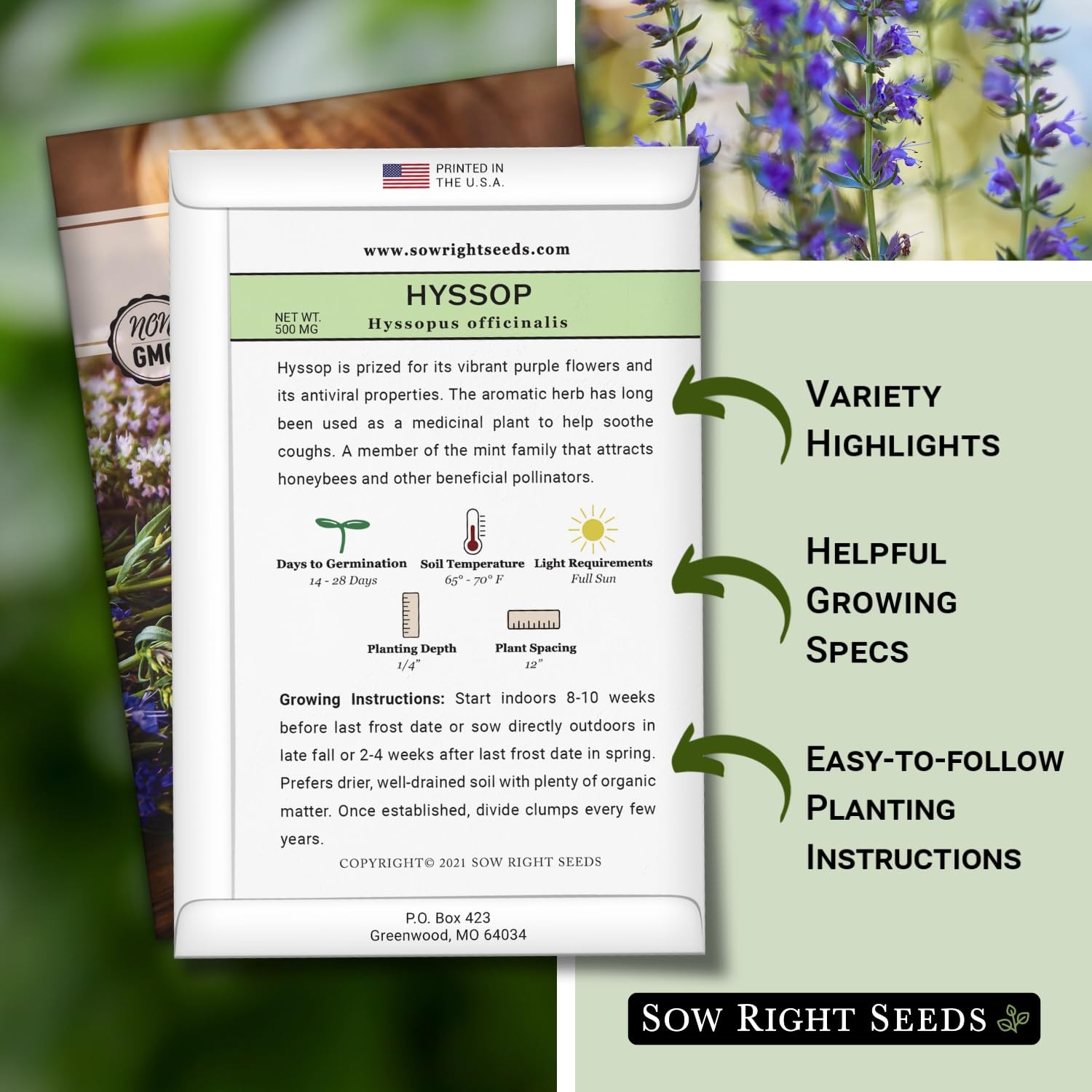 Hyssop Seeds for Planting Medicinal Herb, Attracts Pollinators, NonGMO