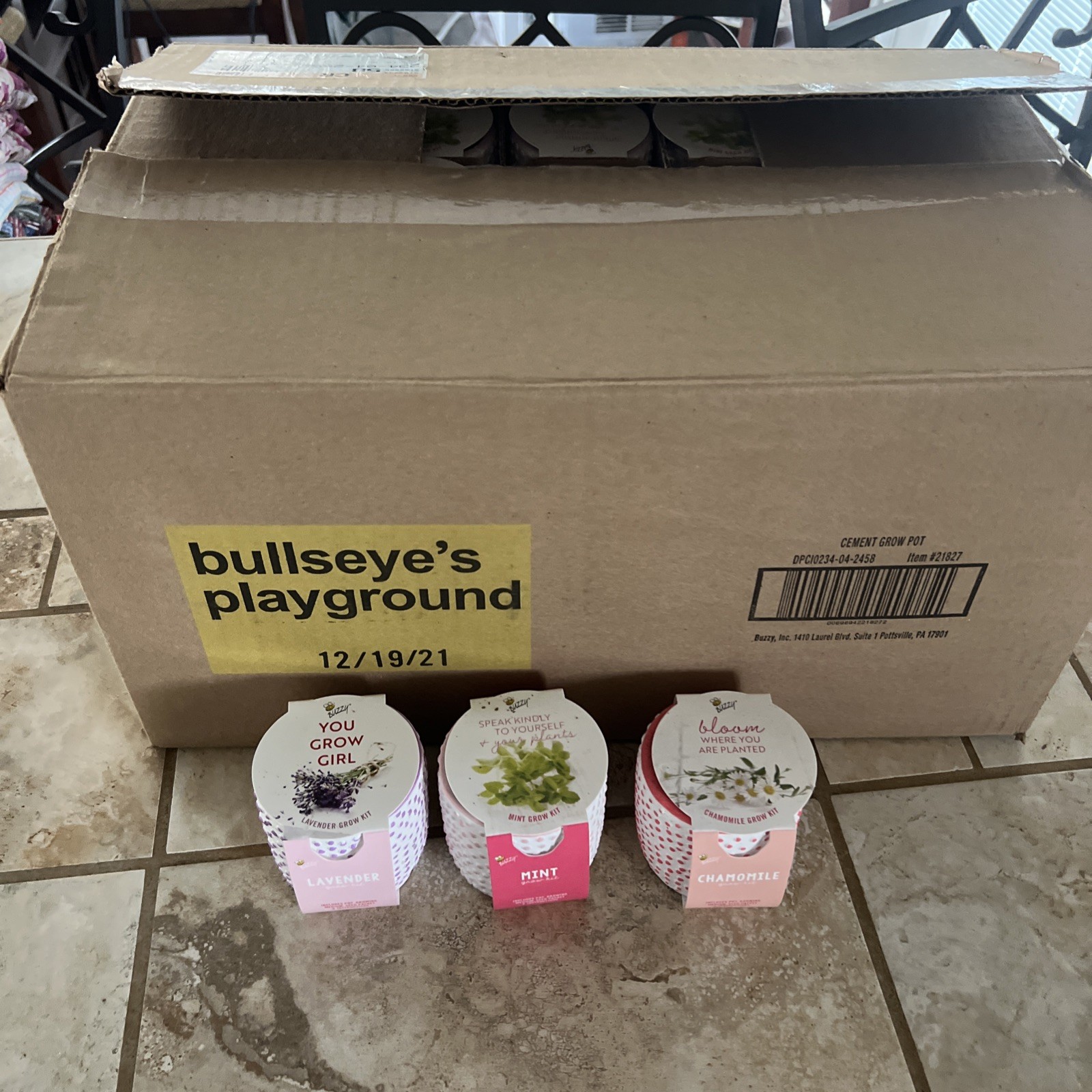 Bullseyes Playground Herb Grow Kits. Box Of 45. Mint, Lavender, And Chamomile