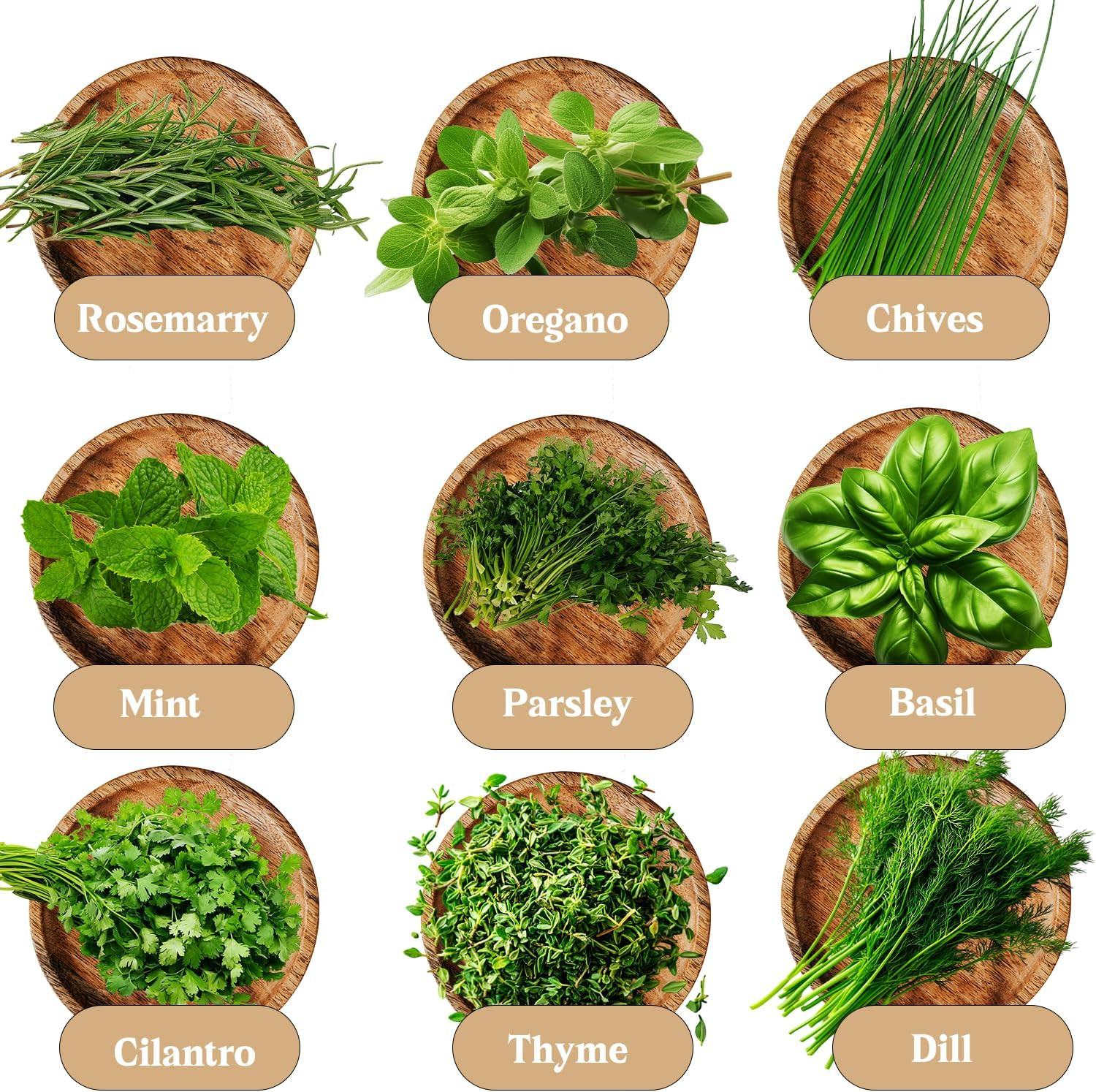 Indoor Herb Garden Kit, 9 Non-GMO Seeds with Reusable Pots, Planter – DIY Grow K