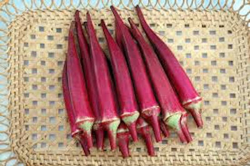 100+ Organic Red Burgundy Okra Seeds| Đậu Bắp , 2024 Season