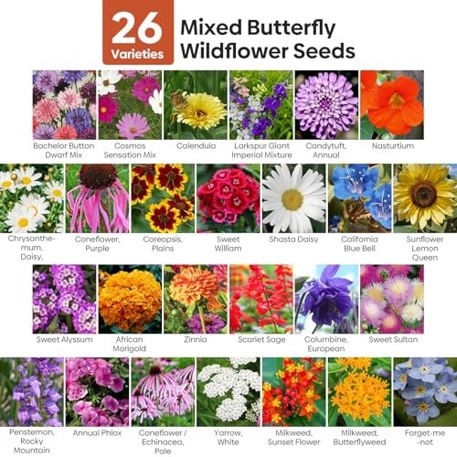 All Perennial Wildflower Seeds Bulk, 1/4 Lb, 100,000+ Seeds, 26 Variety Mix