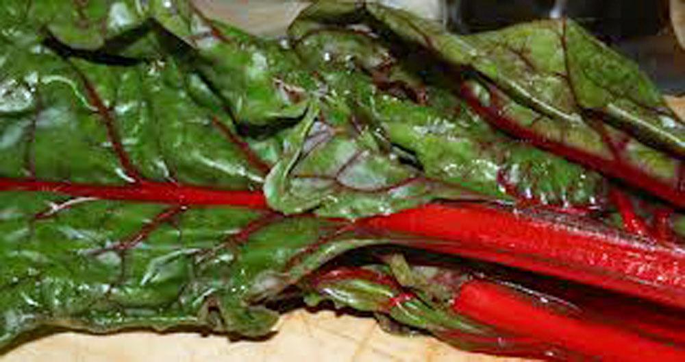 Rhubarb Seed, Swiss Chard, HEIRLOOM, NON-GMO, 500 SEEDS