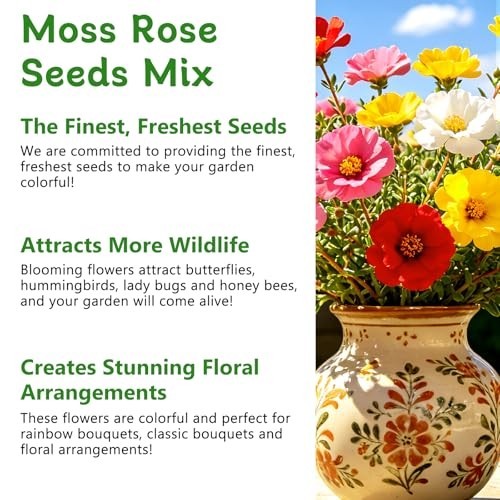 40,000+ Moss Rose Seeds – Non-GMO Bulk Flower Seeds for Outdoor Planting, Mixed
