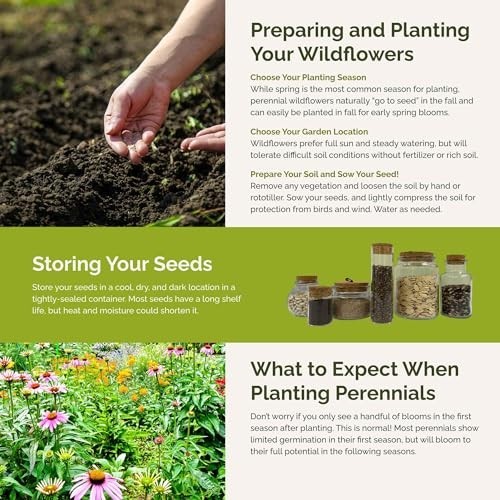 Midwest Perennial Wildflower Seed Mix – 120,000+ Seeds, Attracts Pollinators, Pl