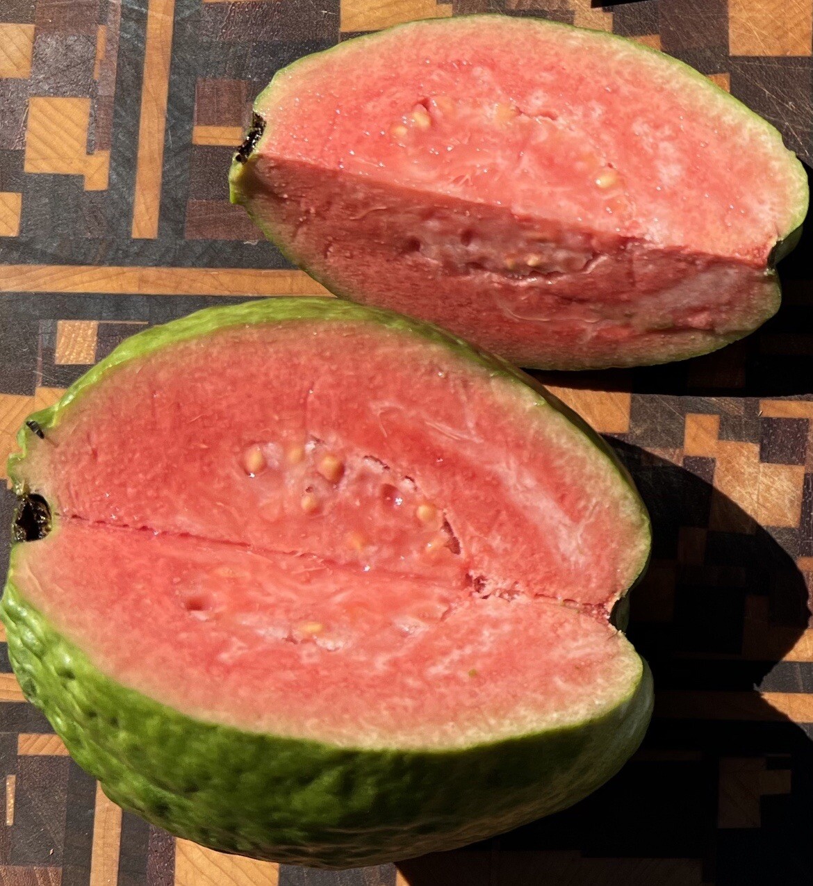 Live Ruby Supreme Guava Tree “Great For Smoothies”