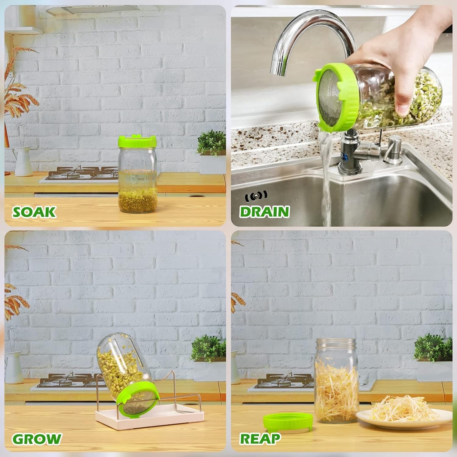 Durable Seed Sprouting Kit with 2 Glass Jars, Drain Tray & Eco-Friendly Design