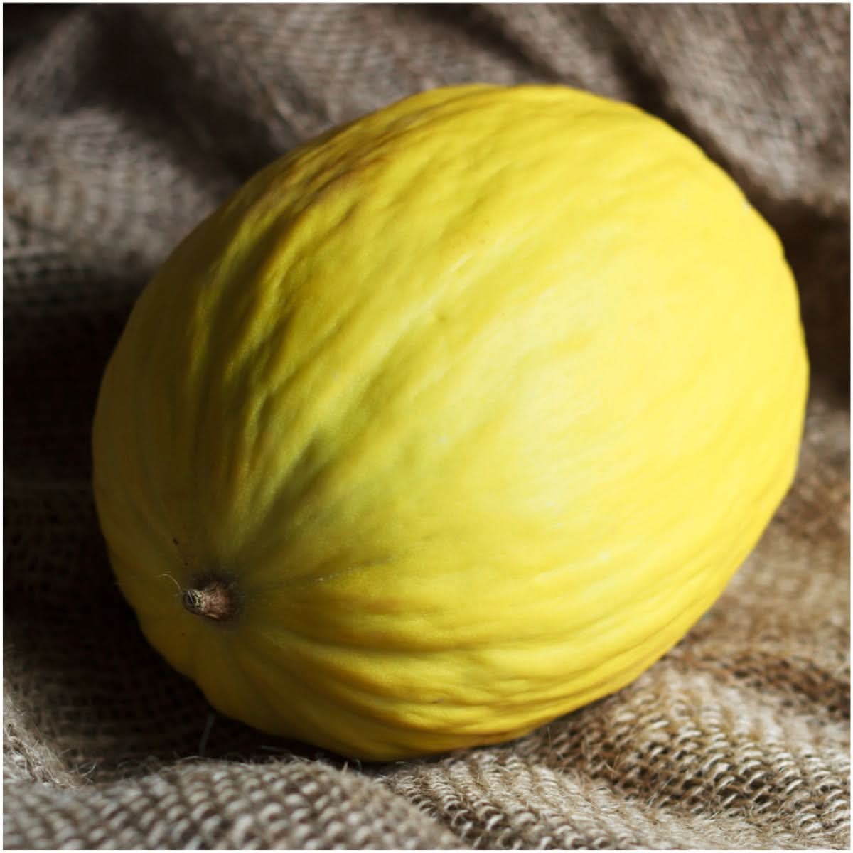 Crenshaw Melon Seeds For Planting (Cucumis melo)