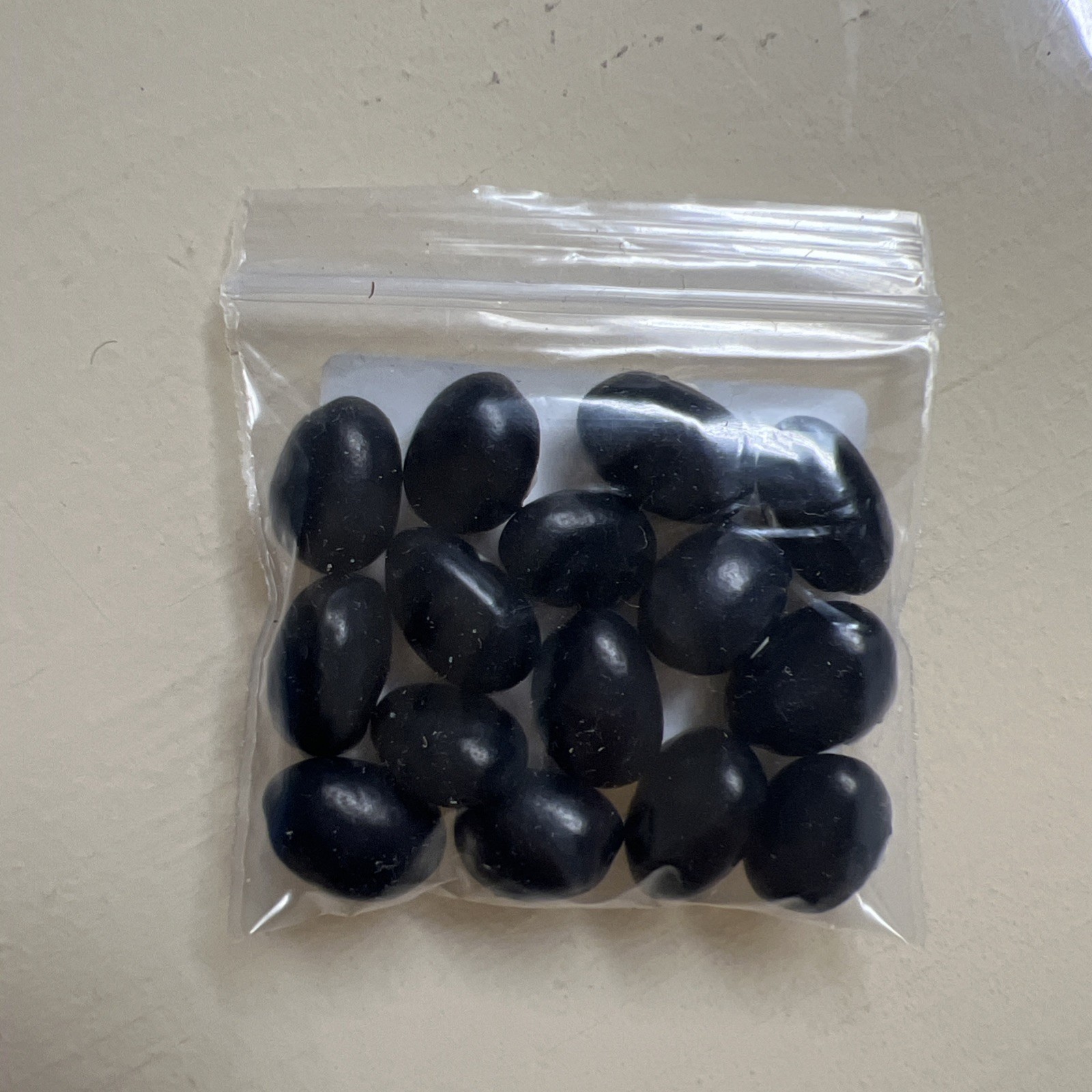 Organic black beans, flat, meaty and tender , 15 seeds