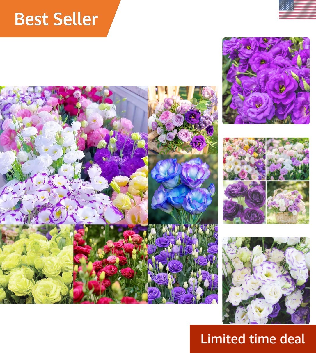 1000+ Mixed Lisianthus Thornless Rose Seeds – Fragrant Heirloom Flowers