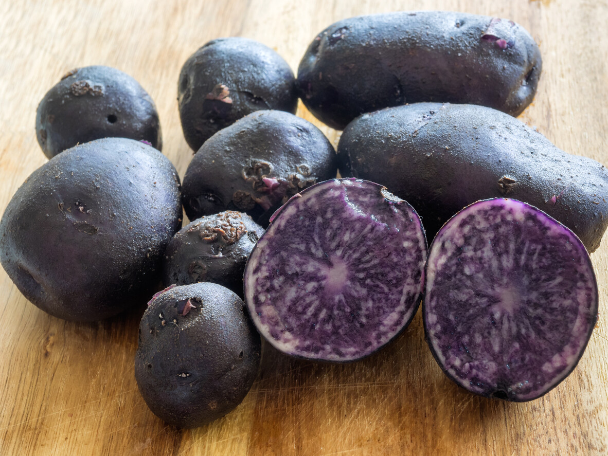Very Rare True Potato Seeds TPS Purple Majesty Reds Blue Color Mix Potato Berry