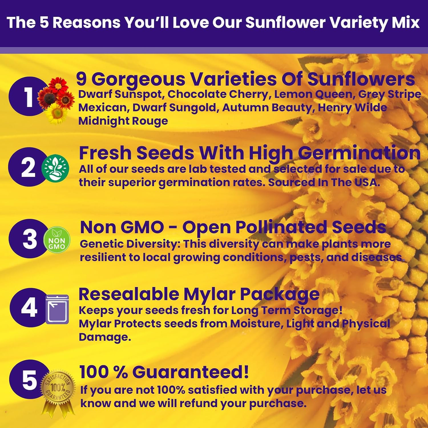 1300+ Sunflower Seeds Garden Variety Pack, Bulk Sunflower Seeds for Planting Flo