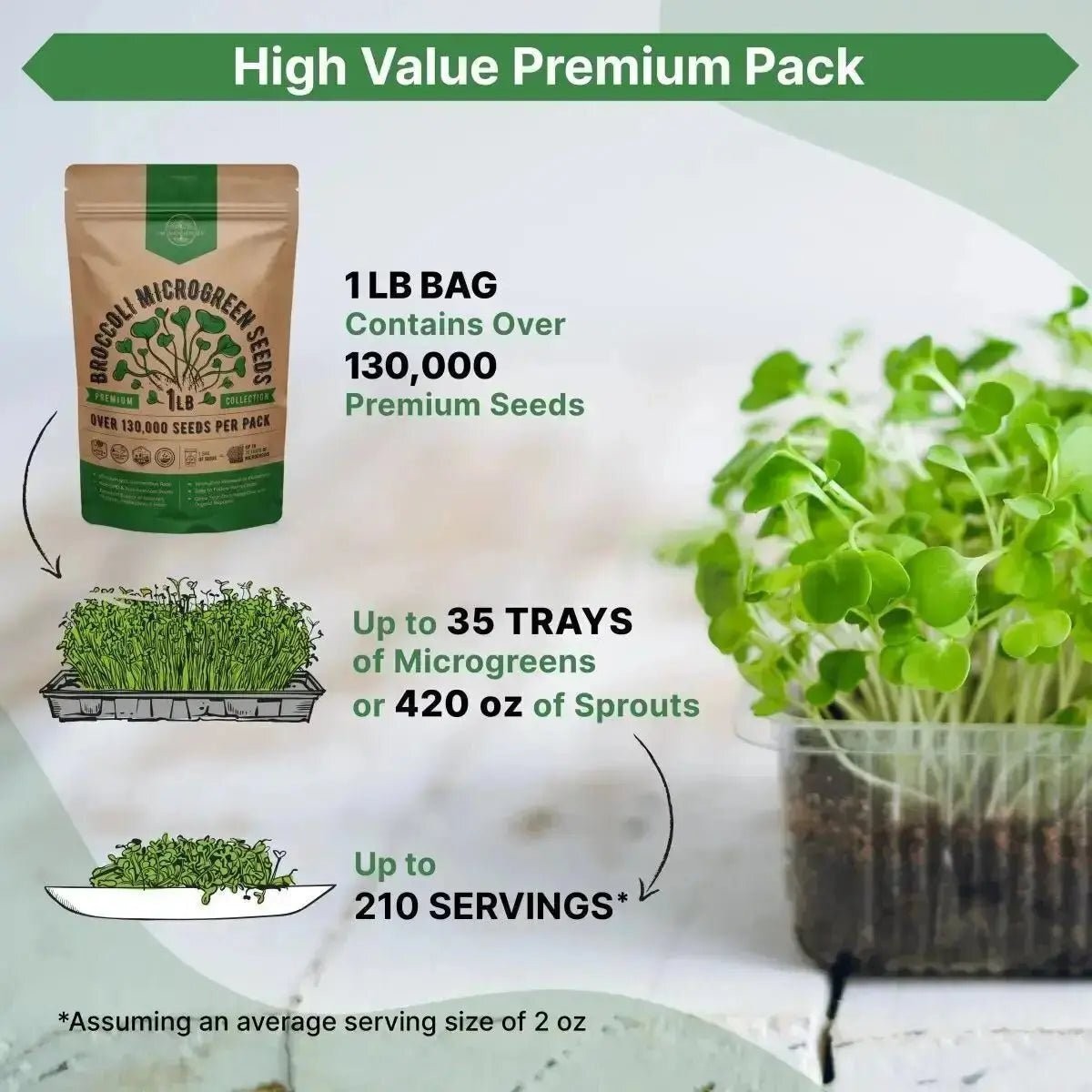 Broccoli Sprouting & Microgreens Seeds 1lb