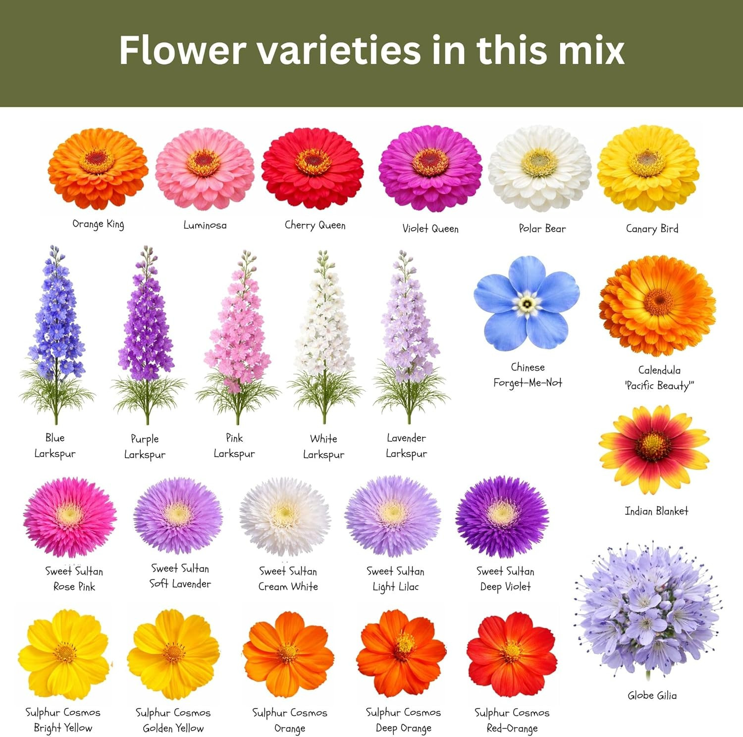 Cut Flower Garden Seed Mix – 15,000+ Seeds – 1 oz Extra Large Packet – Non-GMO F
