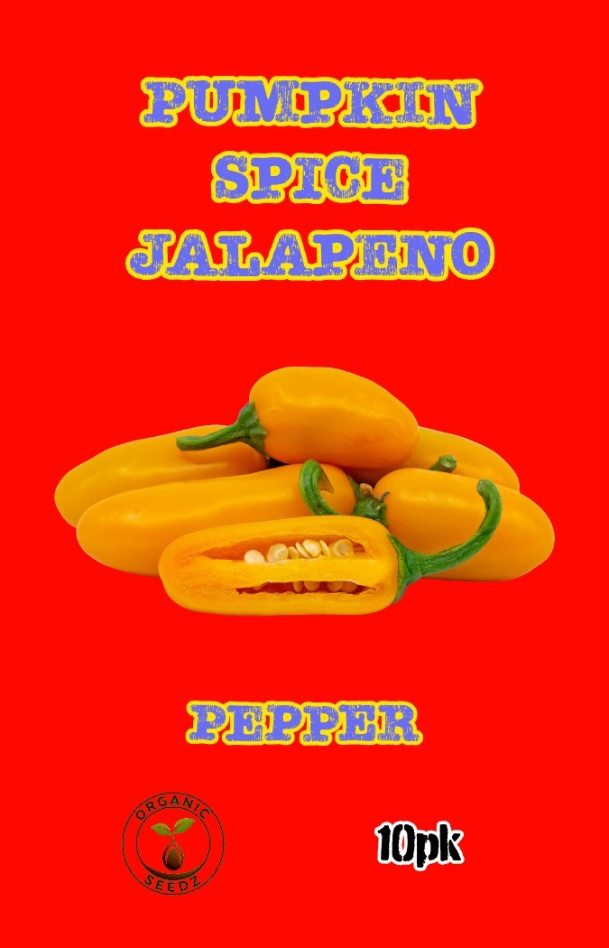Pumpkin Spice Jalapeno Pepper 10pk. ORGANIC