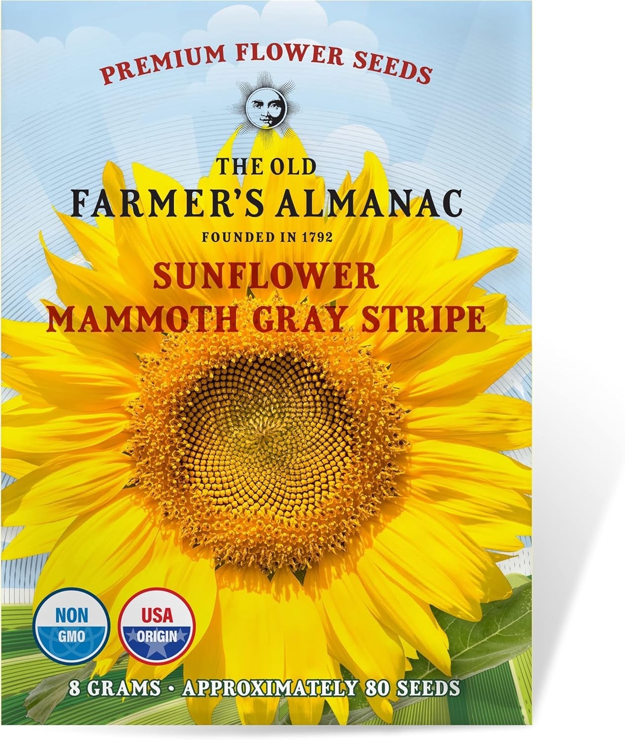 100 Non-GMO Sunflower Seeds – Gorgeous Gray Stripe – Summer Blooming Flowers