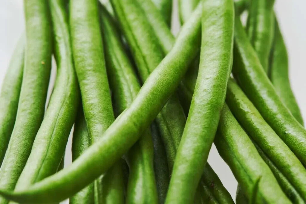 bean, KENTUCKY WONDER, pole bean, 40 SEEDS! GroCo# BUY ANY 10 ITEMS – SHIPS FREE