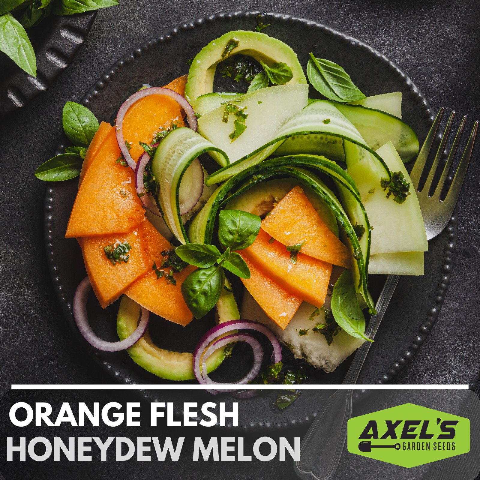 Honeydew Orange Flesh Melon Heirloom Non-GMO Seeds