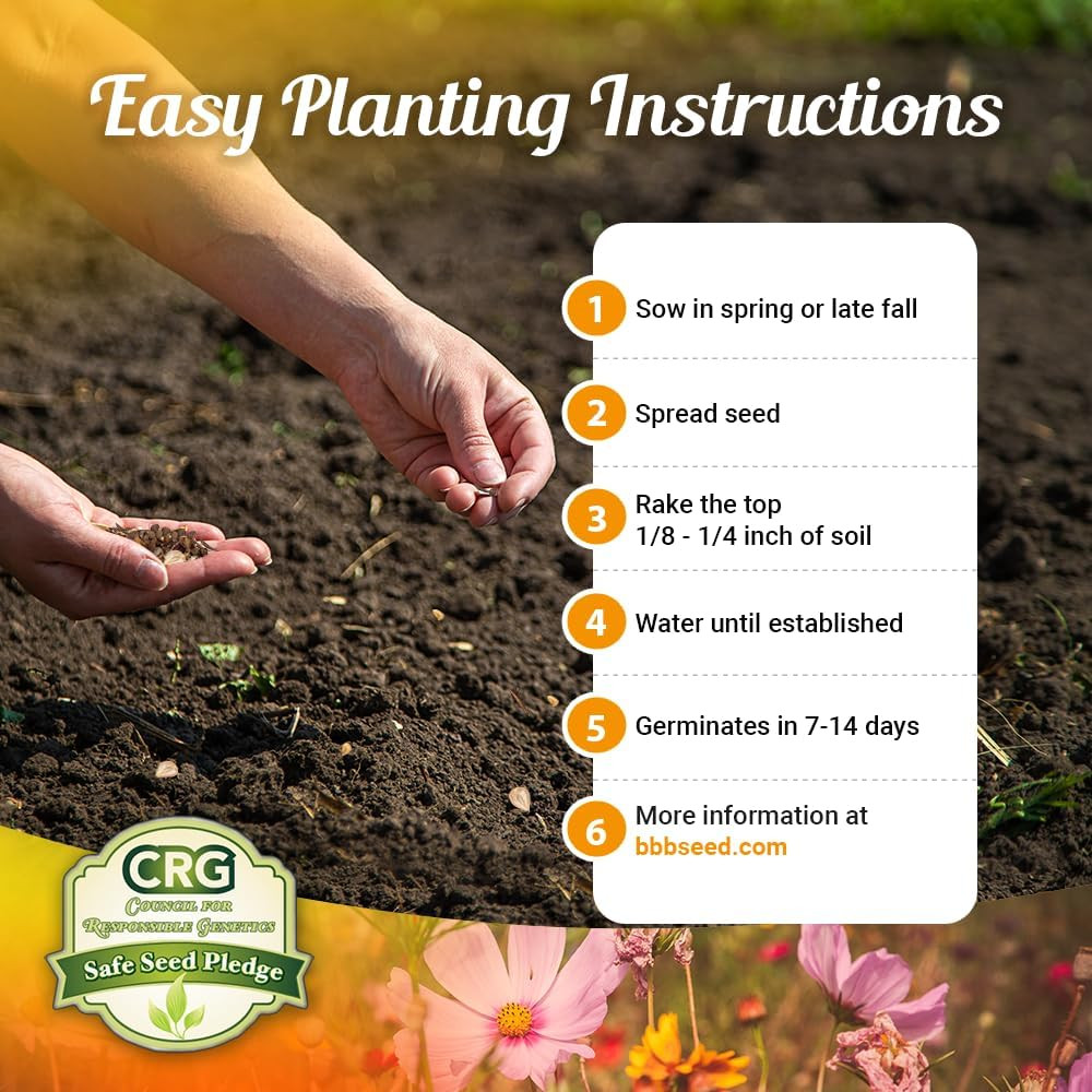 Drought Tolerant Wildflower Seeds – 4Oz, Open-Pollinated Bulk Flower Seed Mix fo