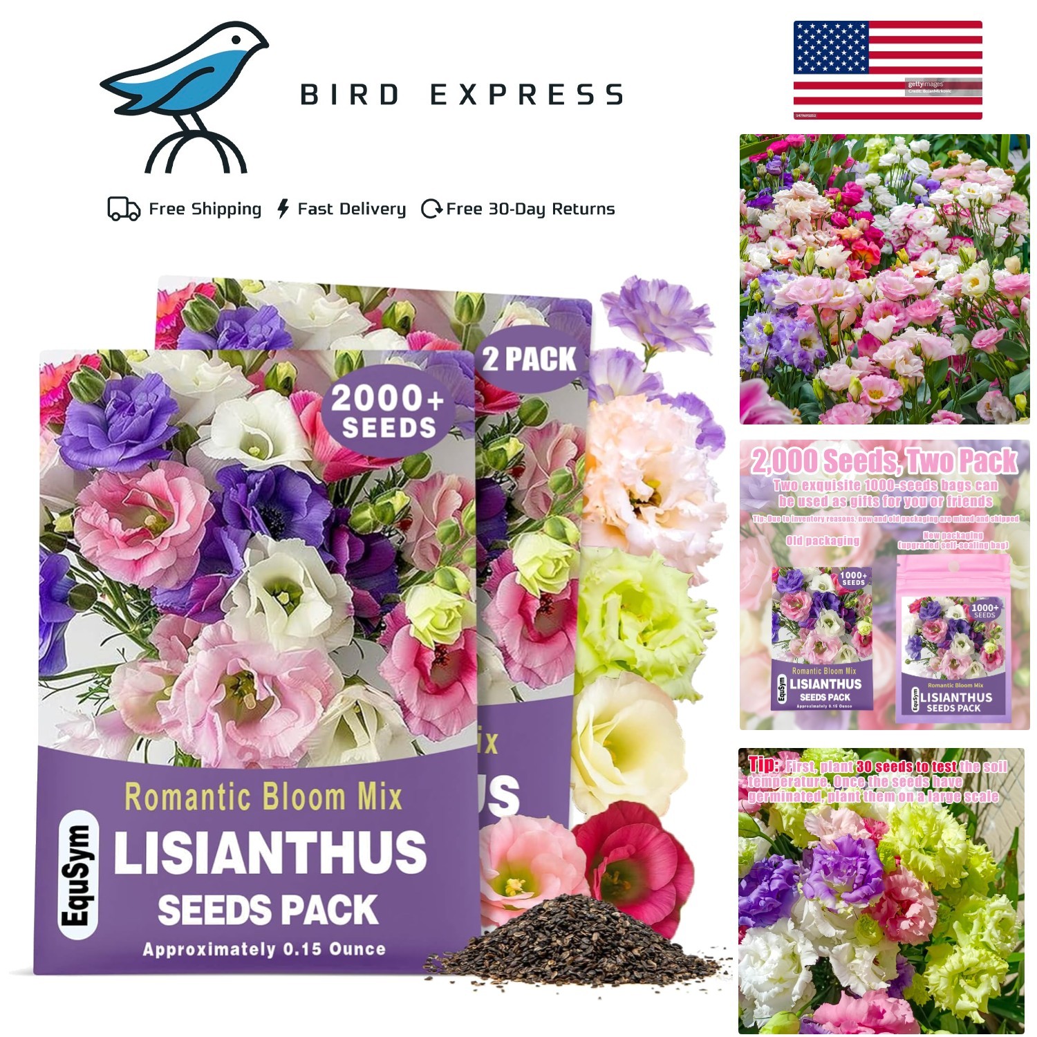 2000 Lisianthus Seeds Perennial Eustoma Grandiflorum Garden Flowers for Planting