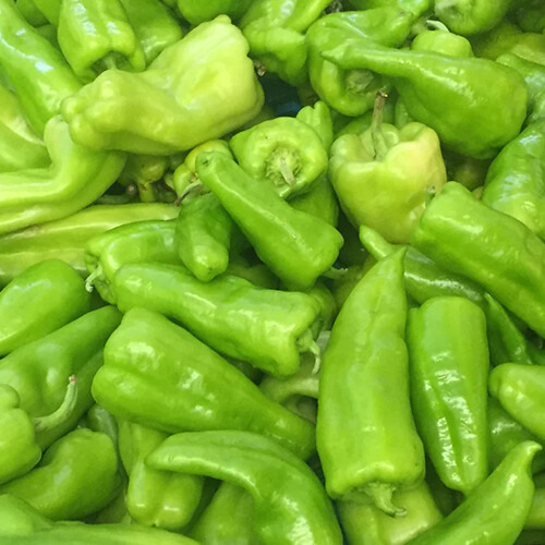 Cubanelle Pepper Seeds | Heirloom / Non-GMO | Free Shipping | Seed Store | 1018
