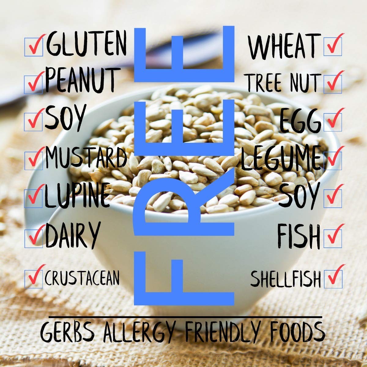 Lightly Sea Salted Sunflower Seed Kernels – 4 LBS Allergen-Free Delight
