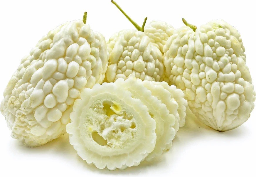 Bitter Gourd Melon White Jyunpaku 10 – 40 Seeds Oriental Pearl of Okinawa Asian