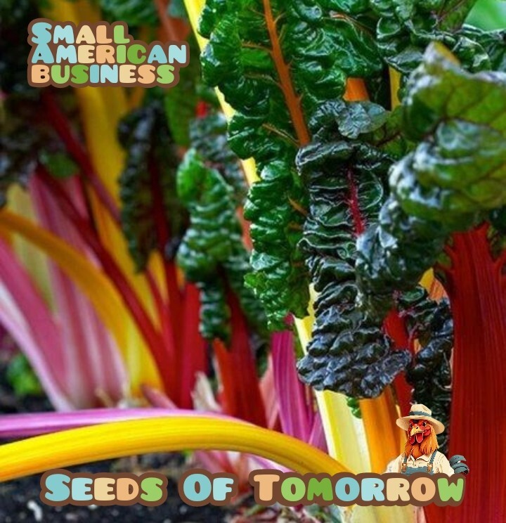 55 Organic Non-GMO Northern Lights Mix Swiss Chard Seeds- Seeds Of Tomorrow