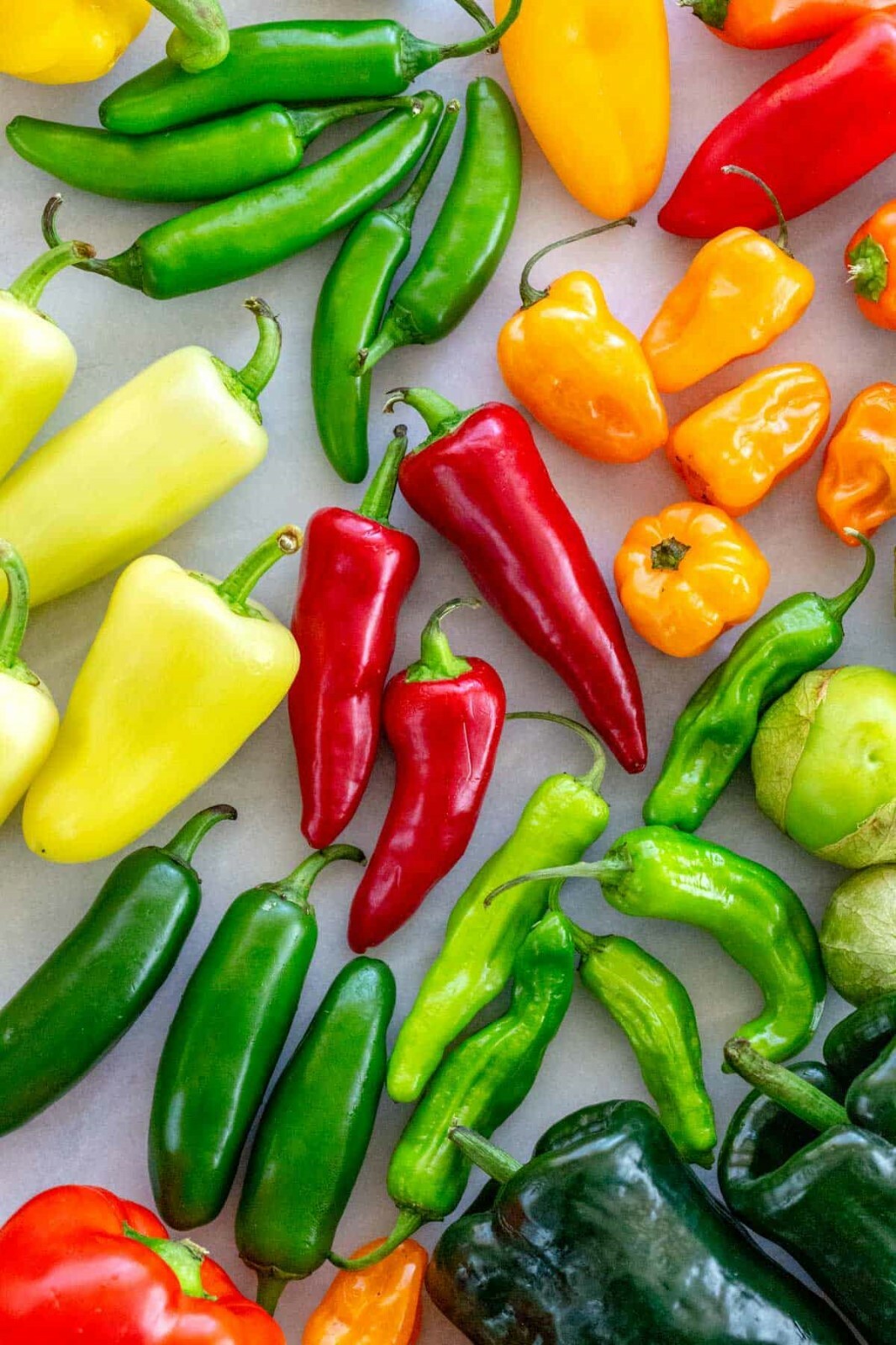 Multi hot pepper seed-pak 6 EZ varieties non-gmo heirloom BIG FLAVOR!!