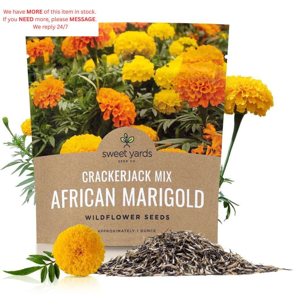 Sweet Yards African Marigold Seeds Mix 1 Ounce (Pack of 1), Orange