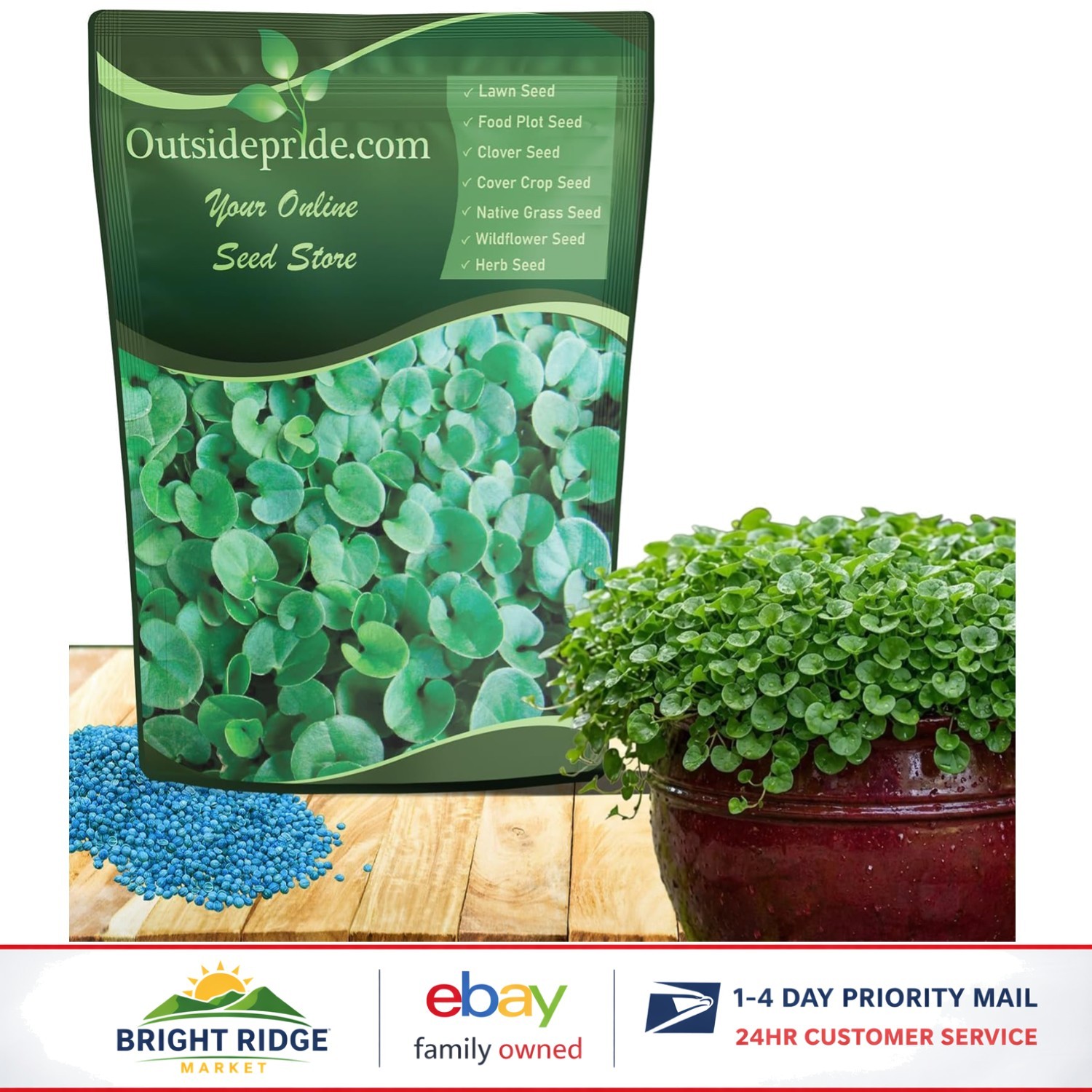Low-Maintenance Dichondra Seeds – Ideal for Quick Lawn Alternatives and Erosion
