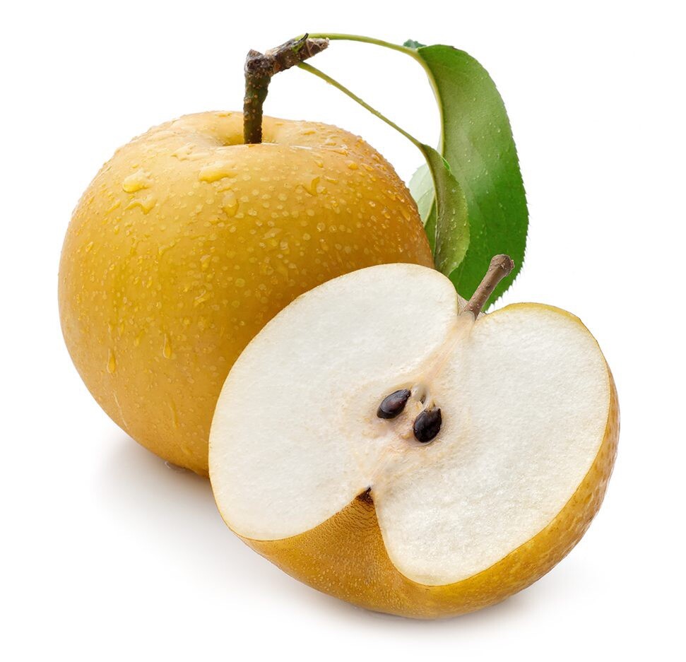 Asian Pear, Japanese Pear, Korean Pear, Pyrus Pyrifolia – 10 Seeds 2025 – USA