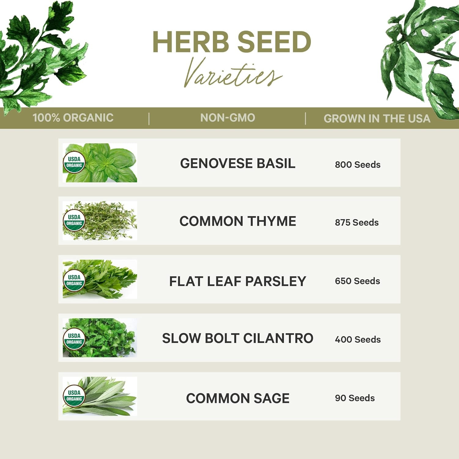 5 Certified Organic Herb Variety Pack (4X More) 2,800+ Non GMO for Planting In