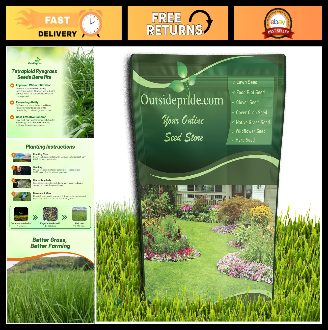 5 lb Annual Ryegrass Seeds – Hardy Fast-Growing Cover Crop for Erosion Control,