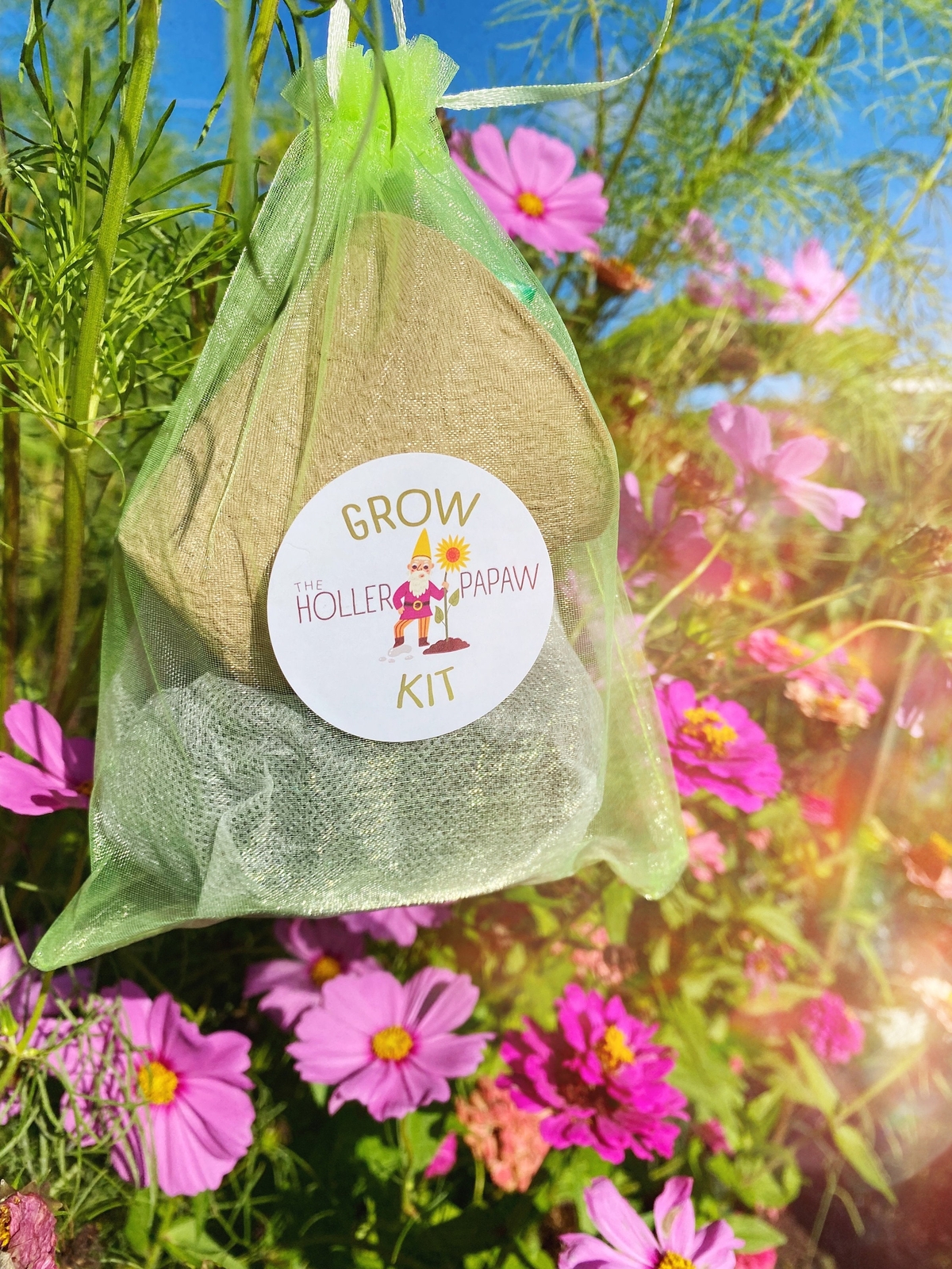 Indoor Flower Grow Kit Gift Set – Grow Your Own Flowers! – Free Shipping!