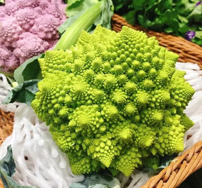 1000+ Romanesco Broccoli Seeds – NON GMO — HEIRLOOM – ORGANIC — FRESH