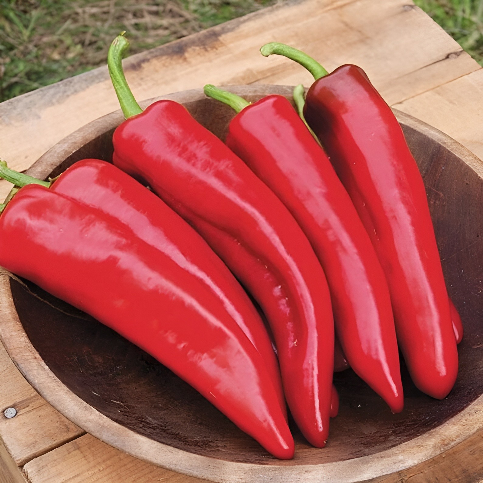 100 Heirloom NuMex Sweet Pepper – Giant Zero Heat Super Sweet Hatch Chili Pepper
