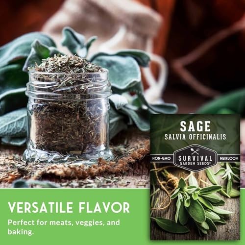 Packs Culinary Sage Seed for Planting – Packet with Instructions to Grow 2