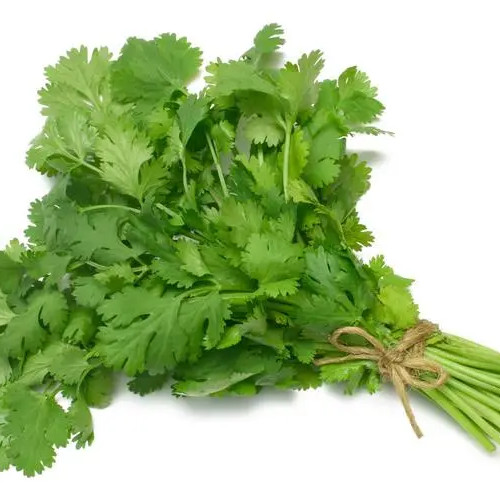 Cilantro -Atlas Aroma