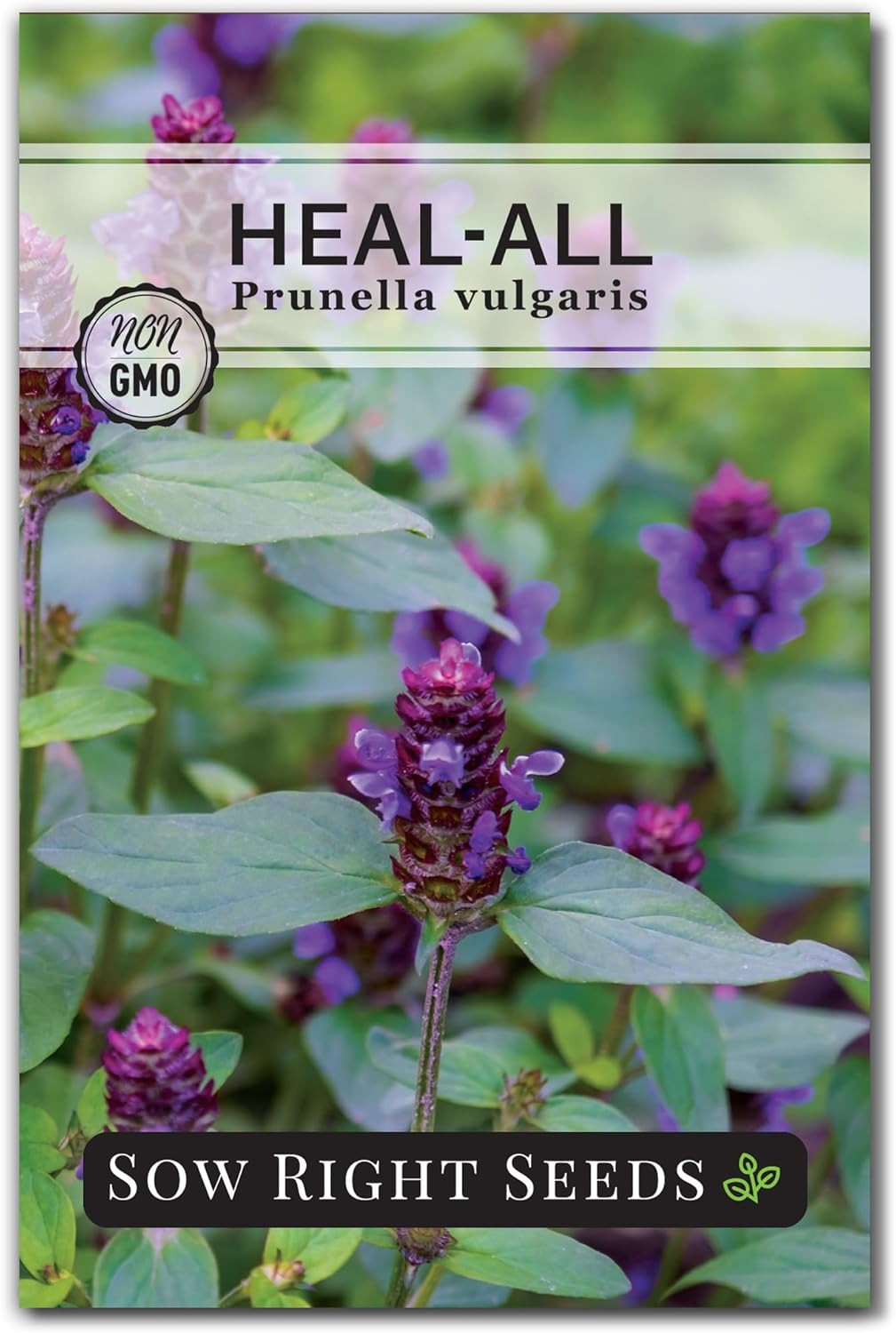 Sow Right Seeds – Heal-All Seeds for Planting – Self Heal Prunella Vulgaris – No