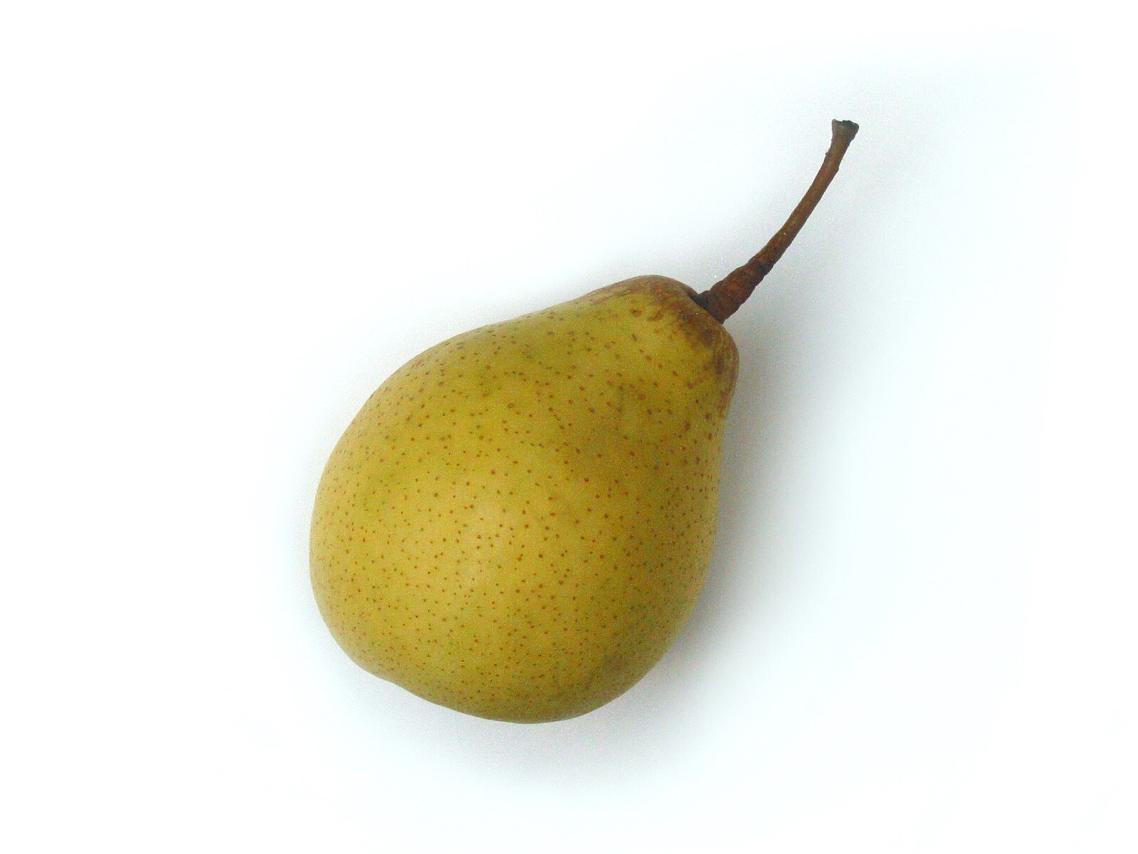 10 Common Pear Tree Seeds