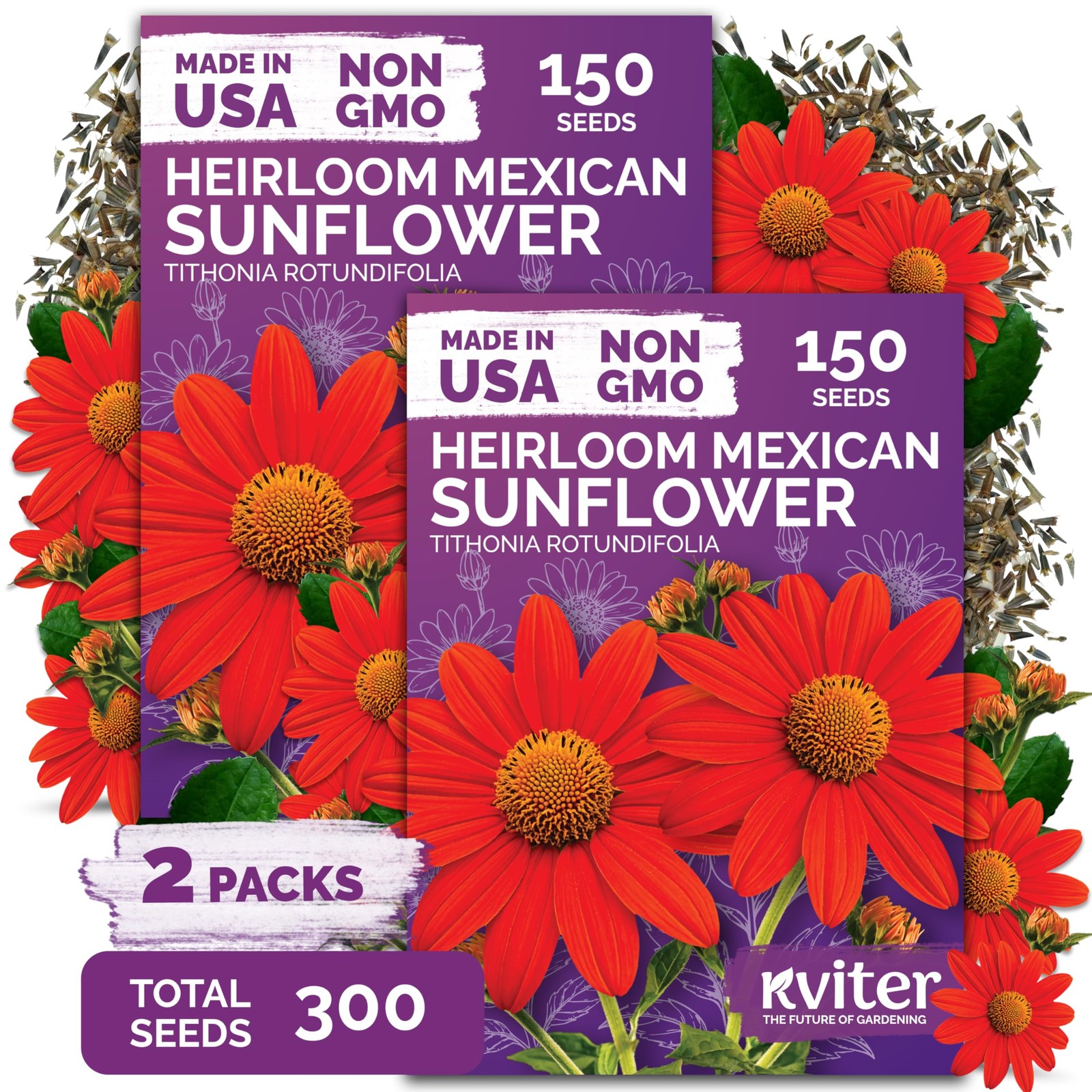 KVITER 300 Mexican Sunflower Seeds (Tithonia Rotundifolia), 2 Pack