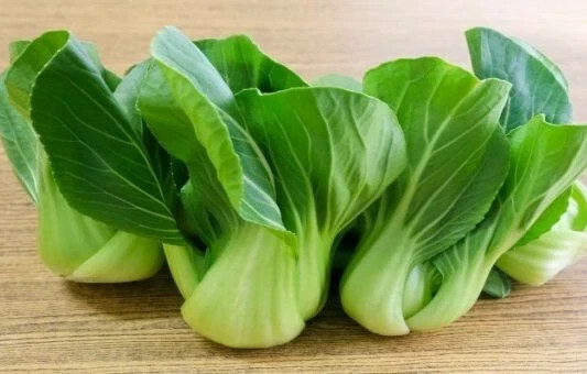 Canton PAK CHOI Bok Choy Chinese Cabbage Seeds non-GMO Heirloom seeds 1500ct