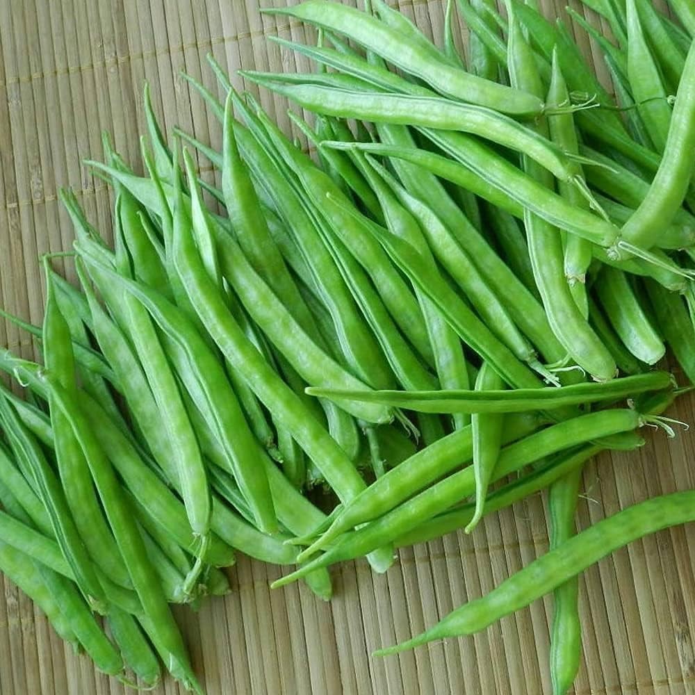 100+ Pcs Indian Cluster Bean Seeds, Non-GMO Vegetable Seeds for Planting, High