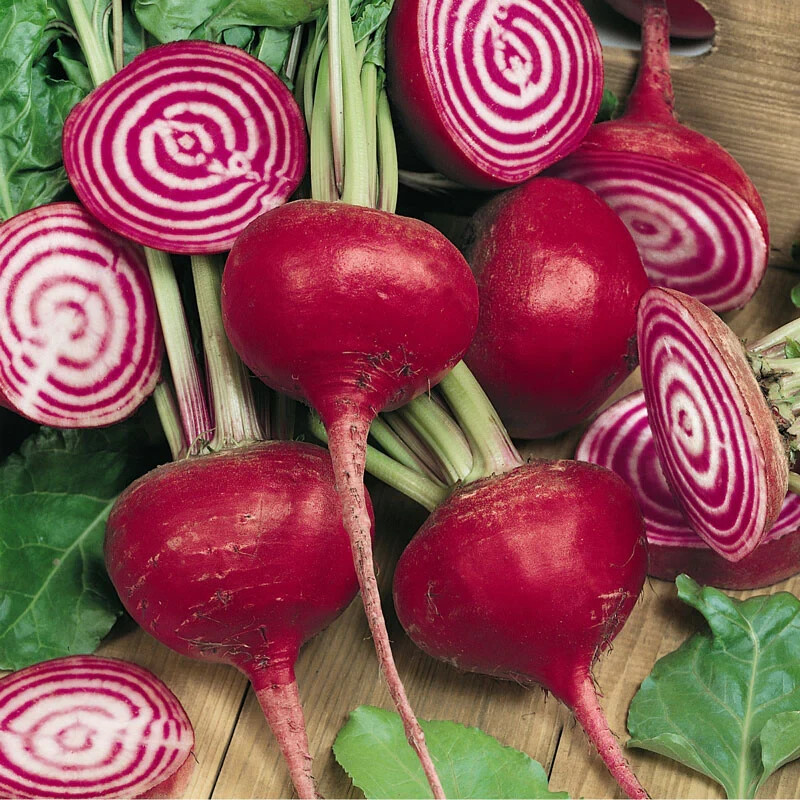 200+ CHIOGGIA BEETS SEEDS NON-GMO FRESH FRESH FOR YOUR GARDEN