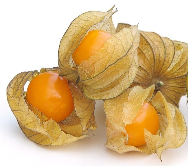 PERUVIAN GROUND CHERRY Physalis Peruviana Cape Gooseberry Fruit Veggie Seeds