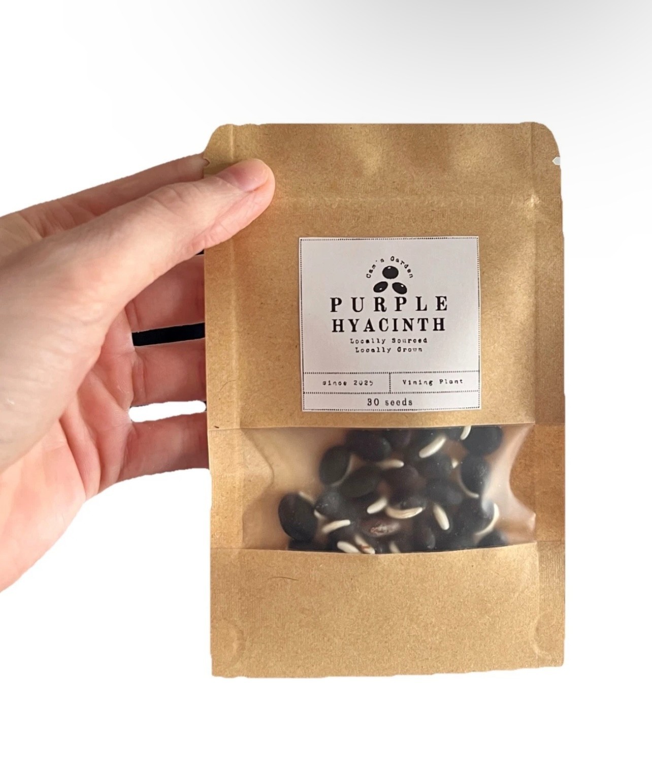Purple Hyacinth Bean Vine Seeds