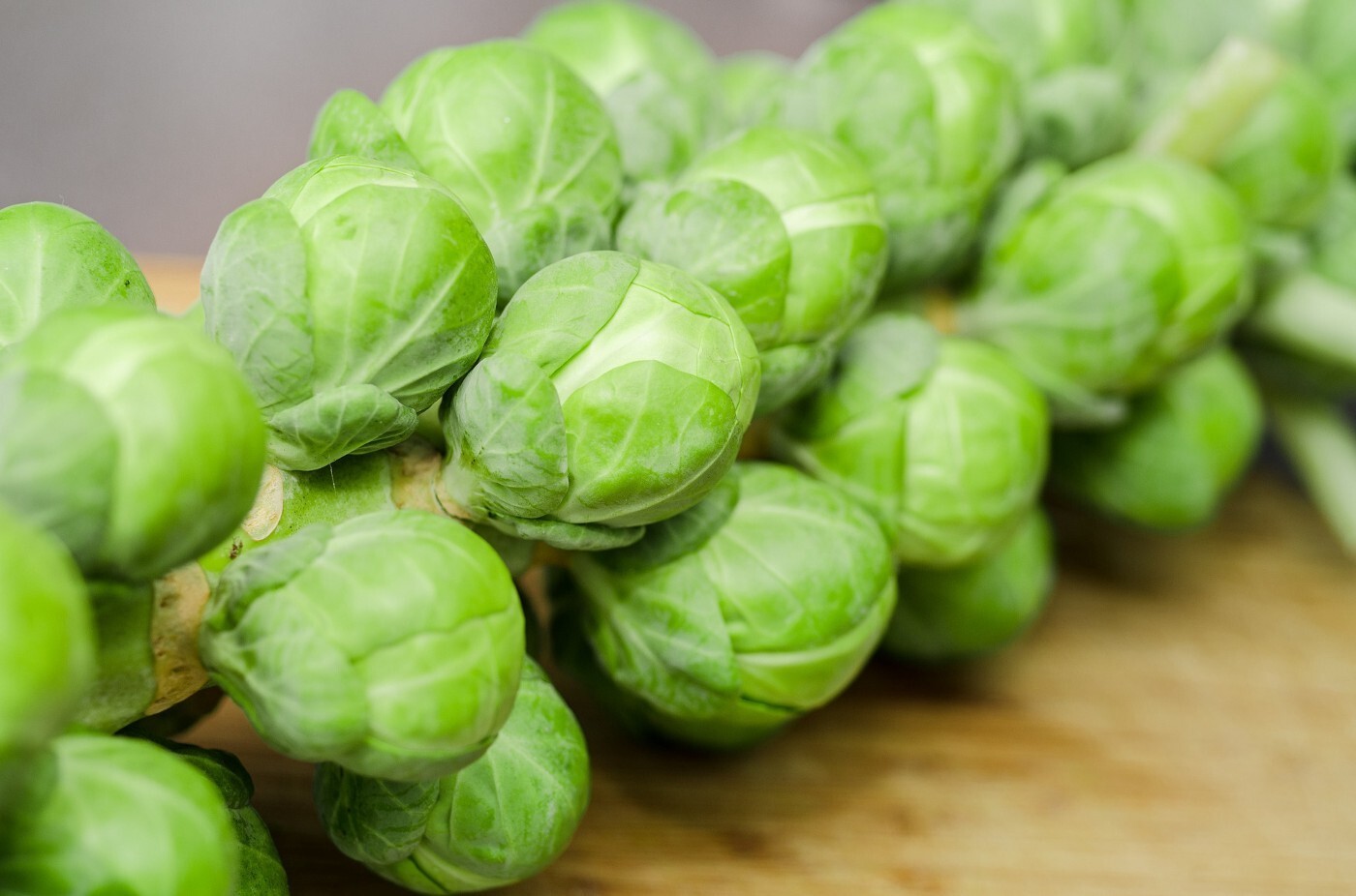 Long Island Brussels Sprouts Seeds | NON-GMO | Heirloom | 750 Fresh Seeds.